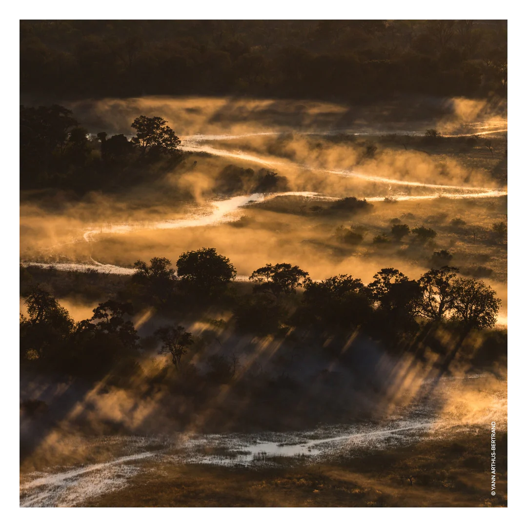 GUERLAIN Aqua Allegoria Forte Bosca Vanilla Eau de Parfum Spray - Image 9