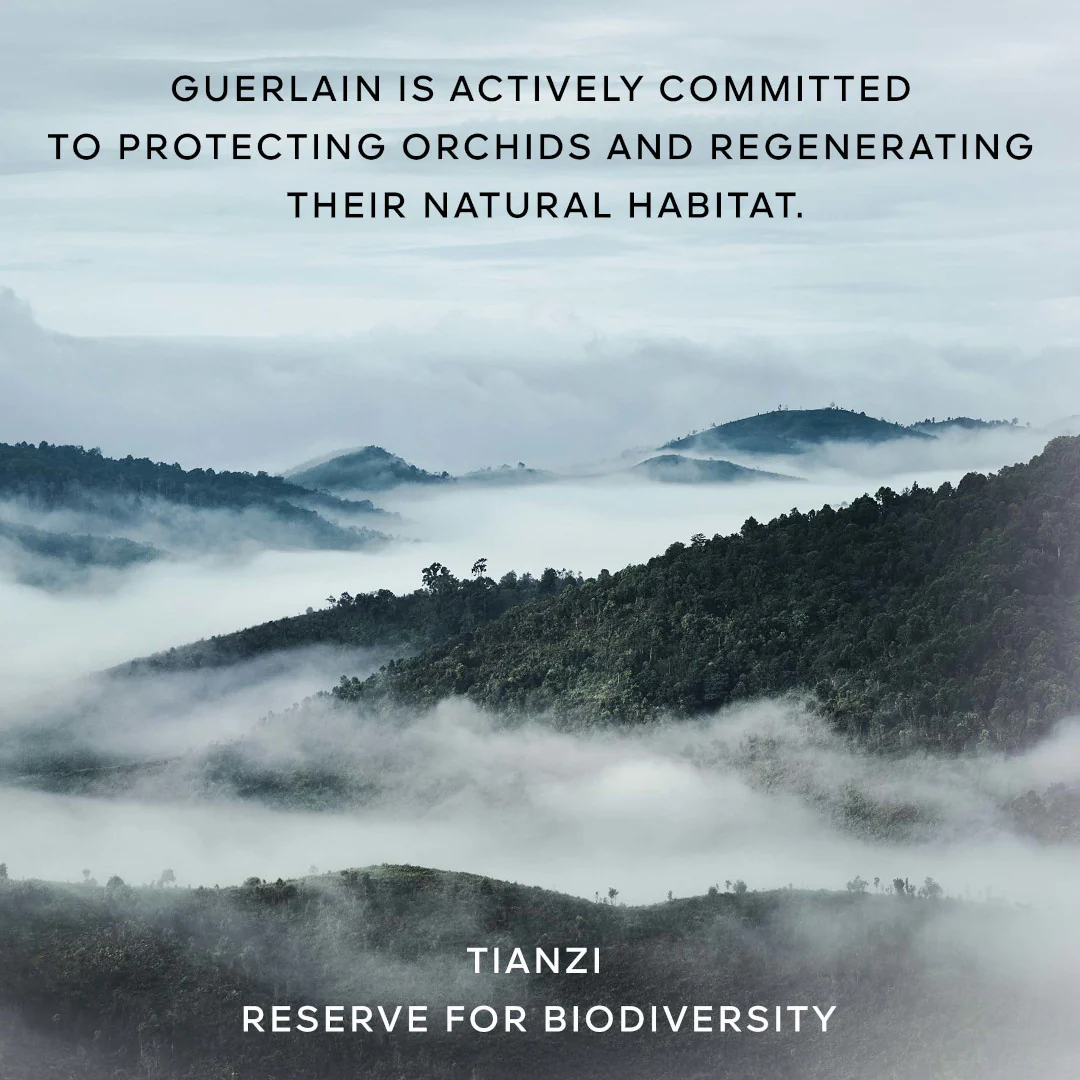 GUERLAIN Orchidee Imperiale The Oil In Gel - Image 9