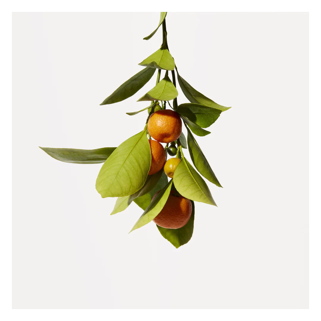 Origins Crisp Citrus Moisturising Hand Cream - Image 9