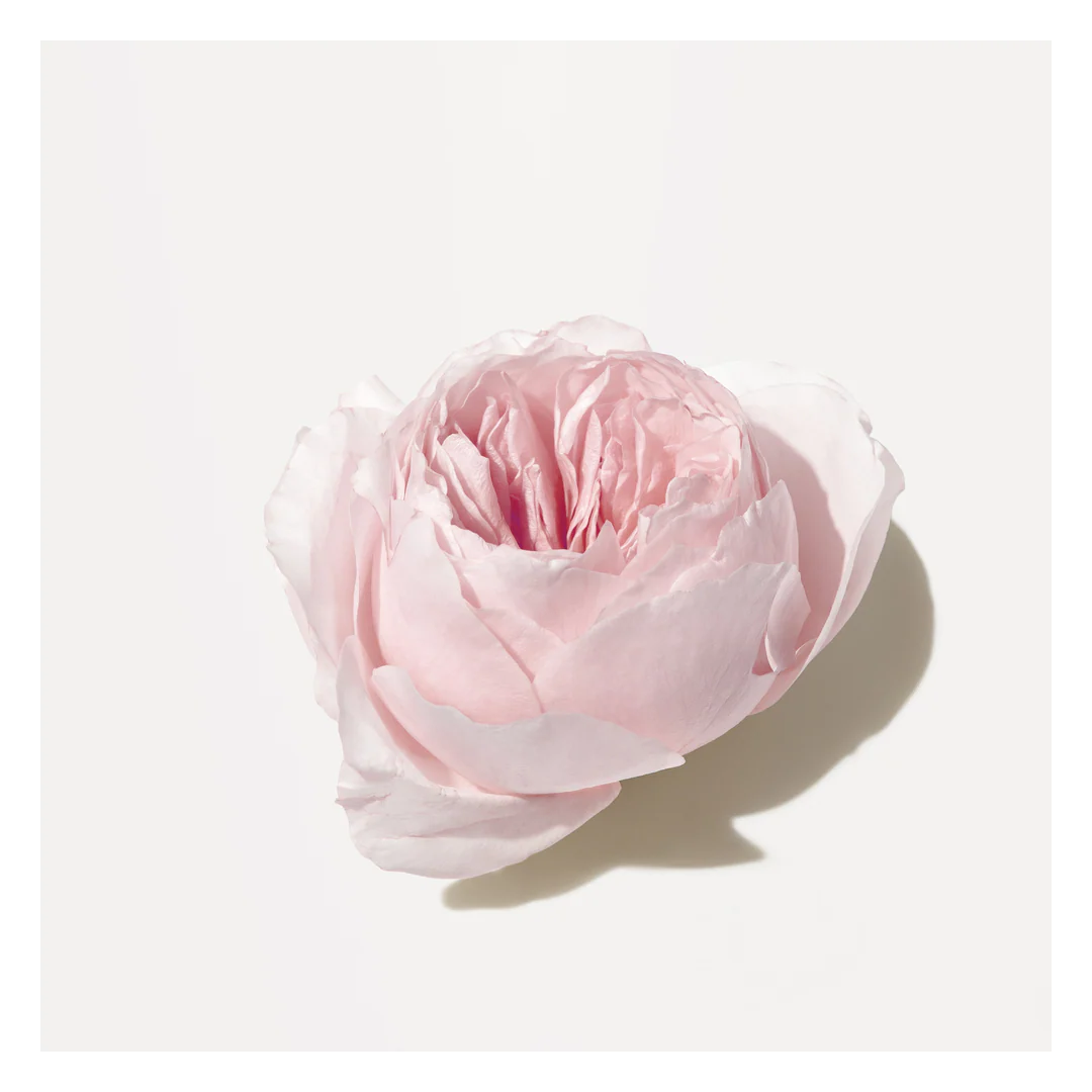 Origins Light Rose Moisturising Hand Cream - Image 3