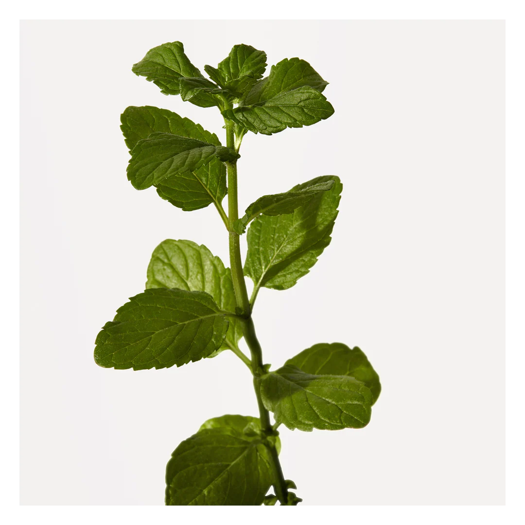 Origins Peace Of Mind Moisturising Hand Cream - Image 6